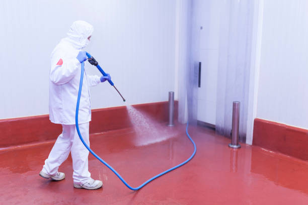 Best Parking Lot Cleaning in Nd Point, WI