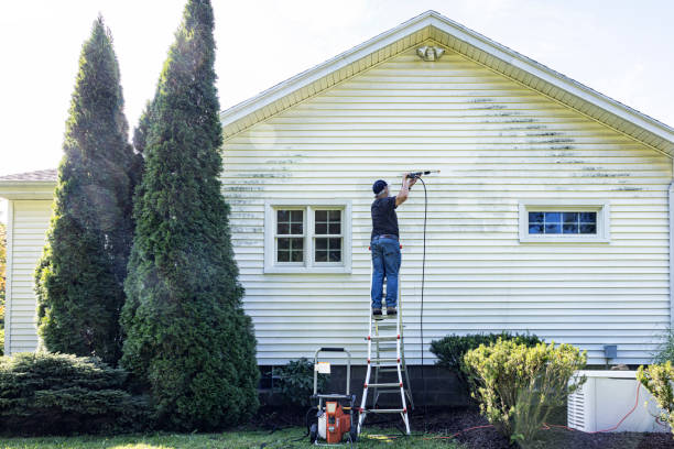 Best Driveway Cleaning and Restoration in Nd Point, WI